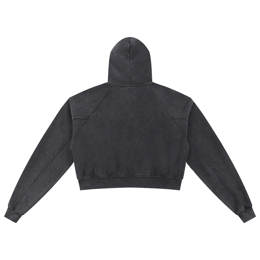Spider Snow Washed Cropped Hoodie