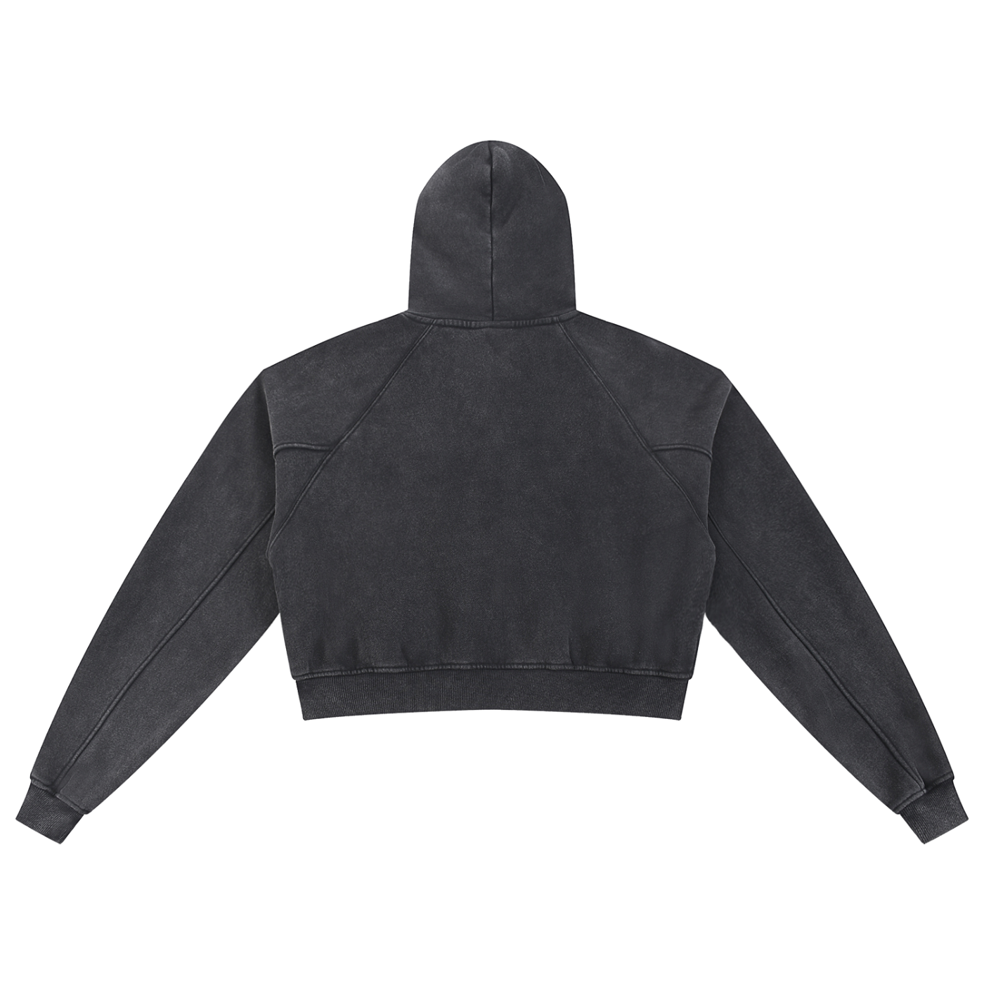 Spider Snow Washed Cropped Hoodie