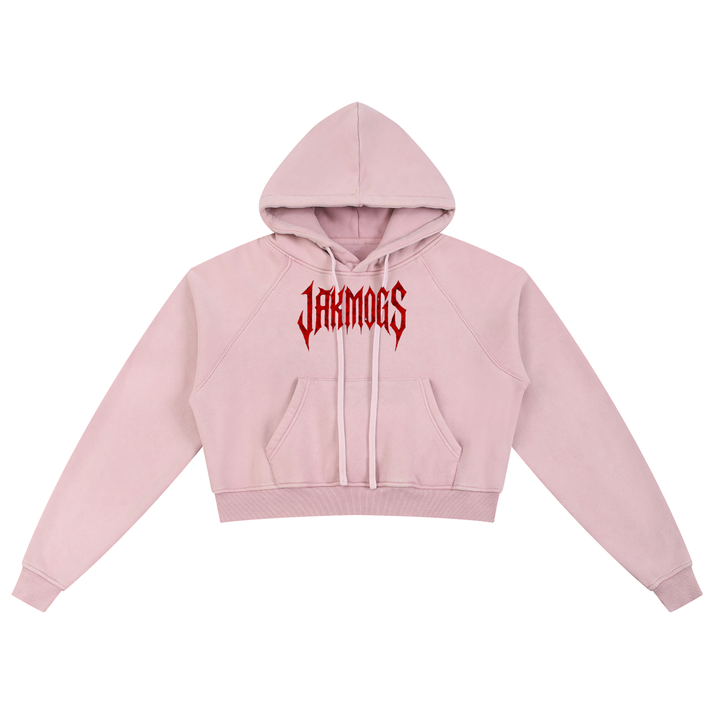 Spider Snow Washed Cropped Hoodie