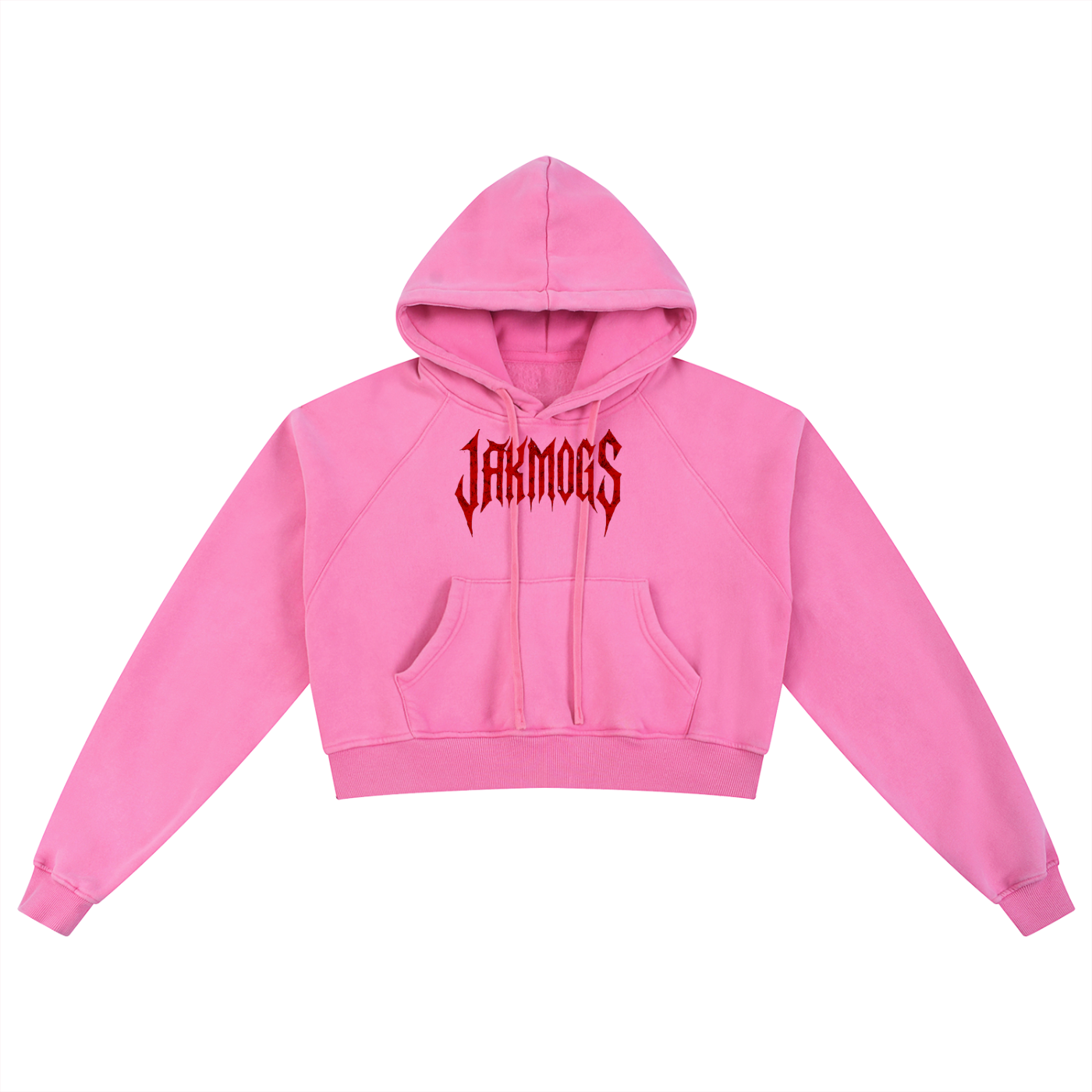 Spider Snow Washed Cropped Hoodie