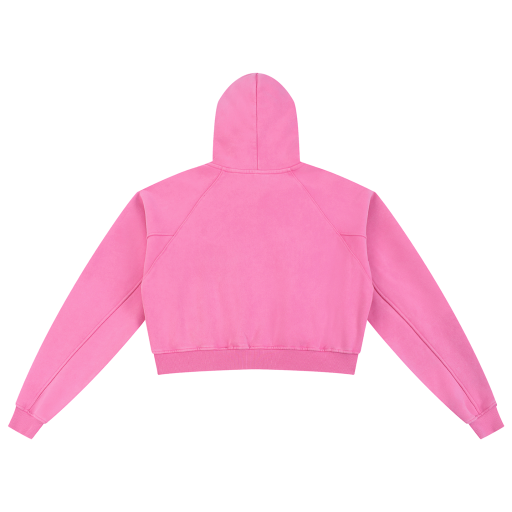 Spider Snow Washed Cropped Hoodie