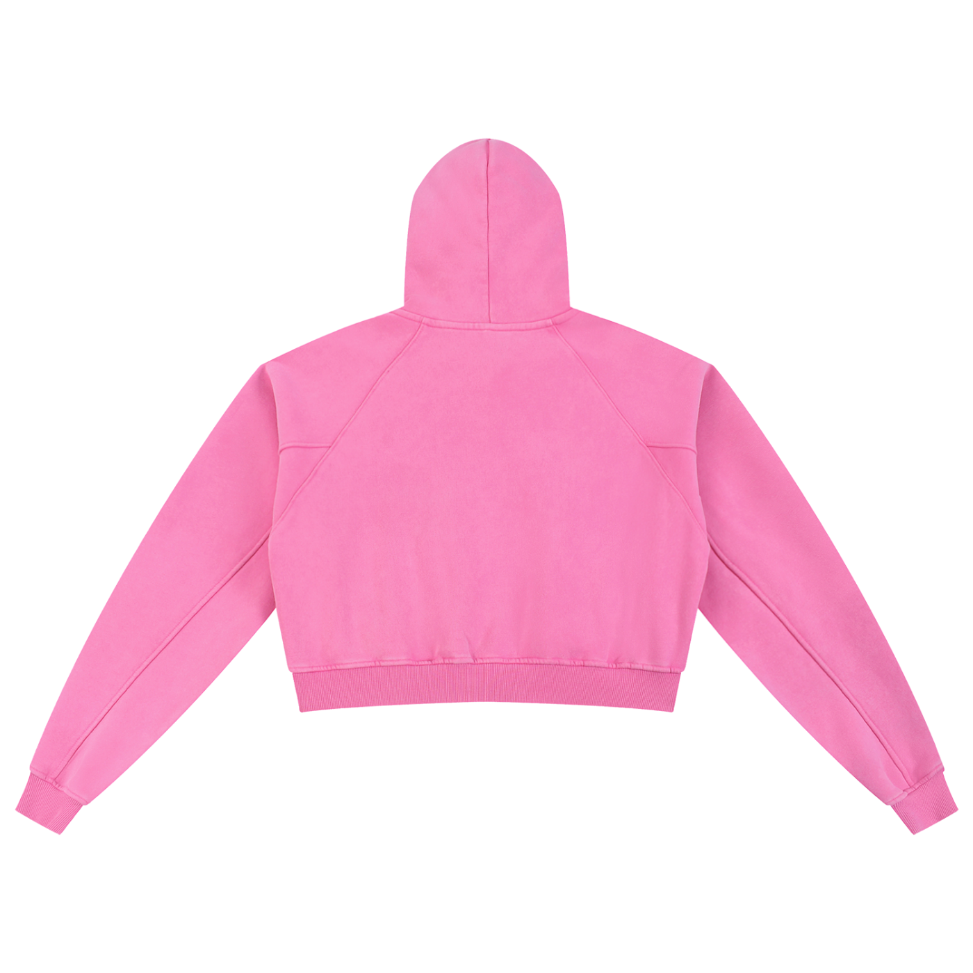 Spider Snow Washed Cropped Hoodie